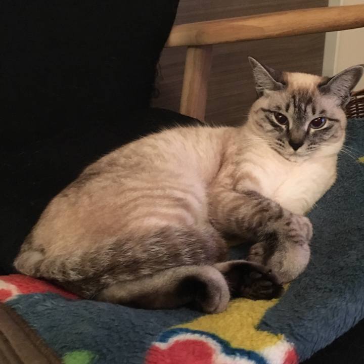 7e496251 5b19 4b9e b853 62765e65beb7 1556108076520