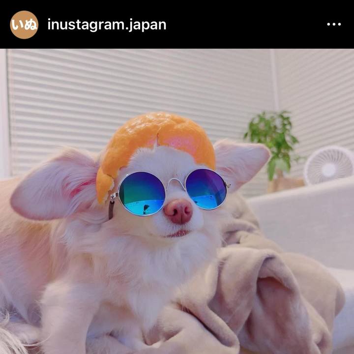 7e49e5e6 850e 487a 8438 79d617f30030 1705653987615