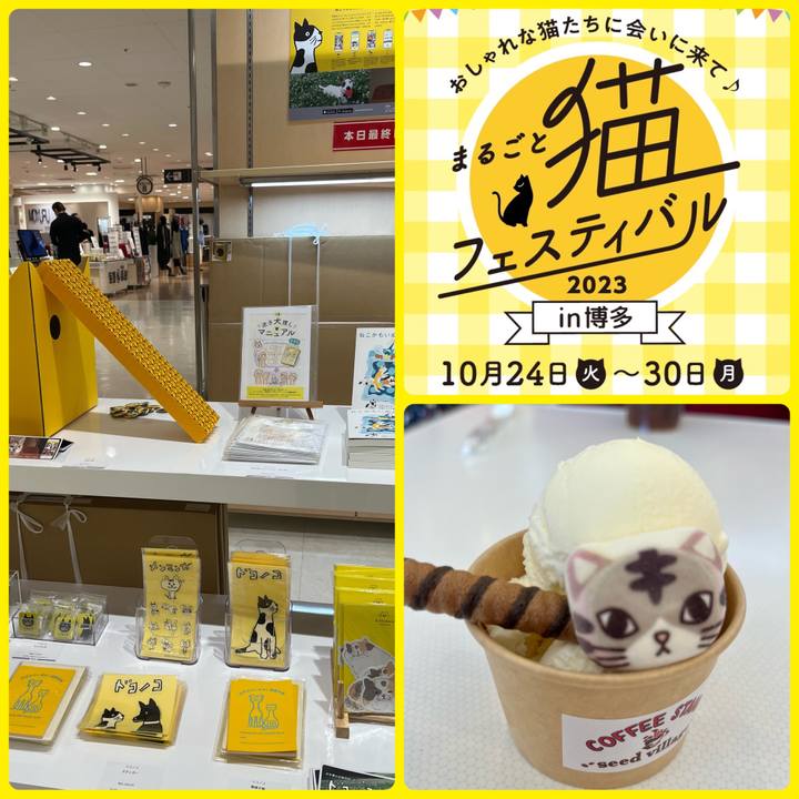 7e4a298b 0264 453a 8423 d1cd1bed0c5d 1698654144252