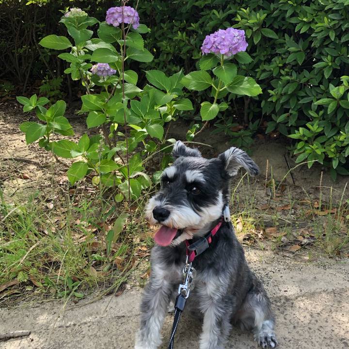 7e4a3c7c 2ebb 4652 a3a8 8755d06d72dc 1717673255652