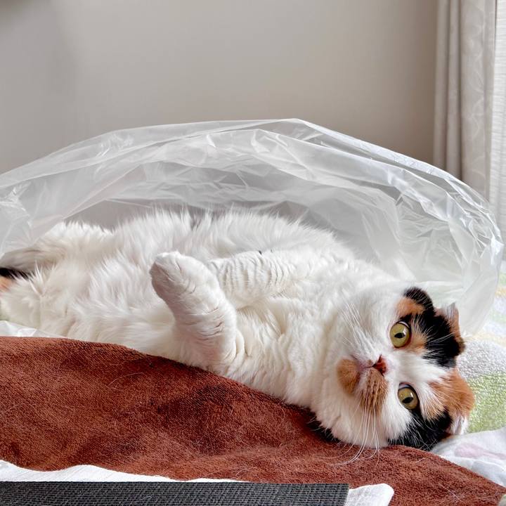 7e4a43c7 0e46 4fc3 8c8a 4abfdbed5627 1669765026601