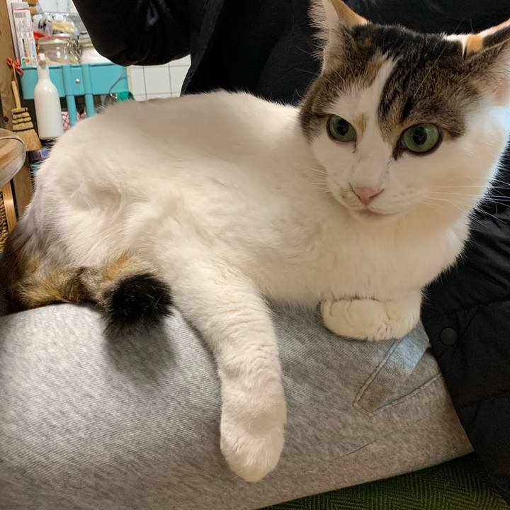 7e4a4b42 0f6e 4d29 b3e6 713d87a6cc3b 1673576312312