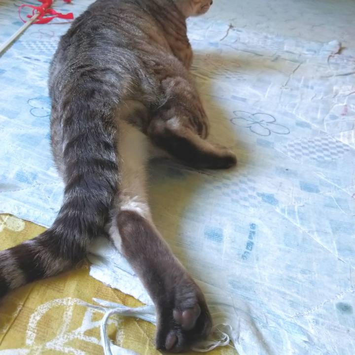 7e4a62e8 7376 4ec1 a6b7 87045ad0b011 1594695970746