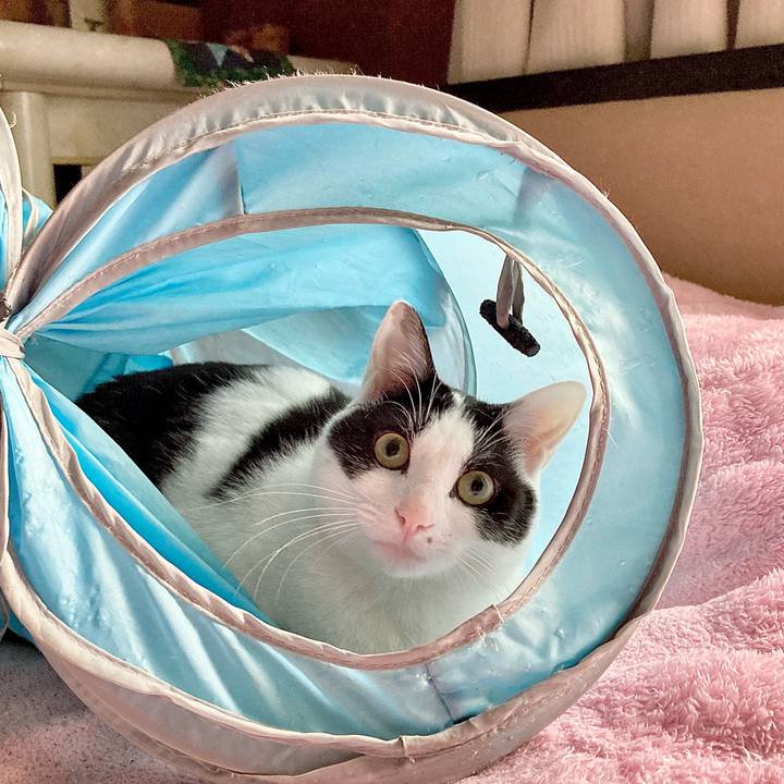 7e4a67d9 19fc 431a b2e7 b3f55d7bca10 1654232830594