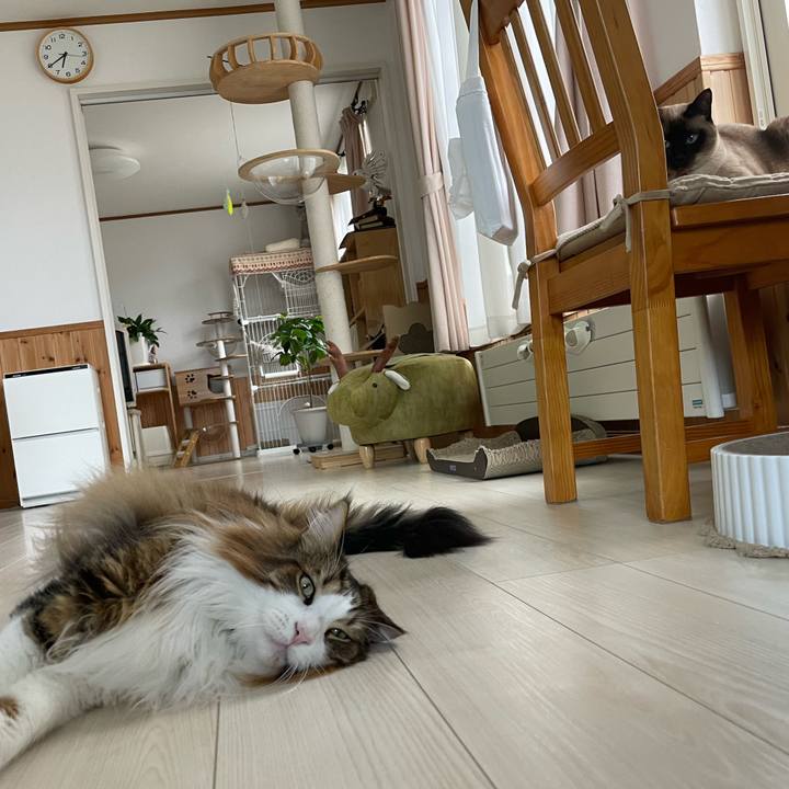 7e4a89e0 7529 4b17 8d2c f6223135f130 1748209384504