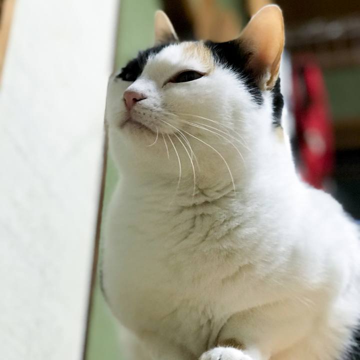 7e4aca3a b3d0 4ce7 a2cf f78c6bf66569 1518101789741