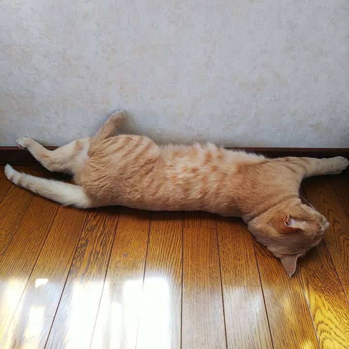 7e4ae0d8 77f3 4e13 a373 559f02442dd5 1626580338714