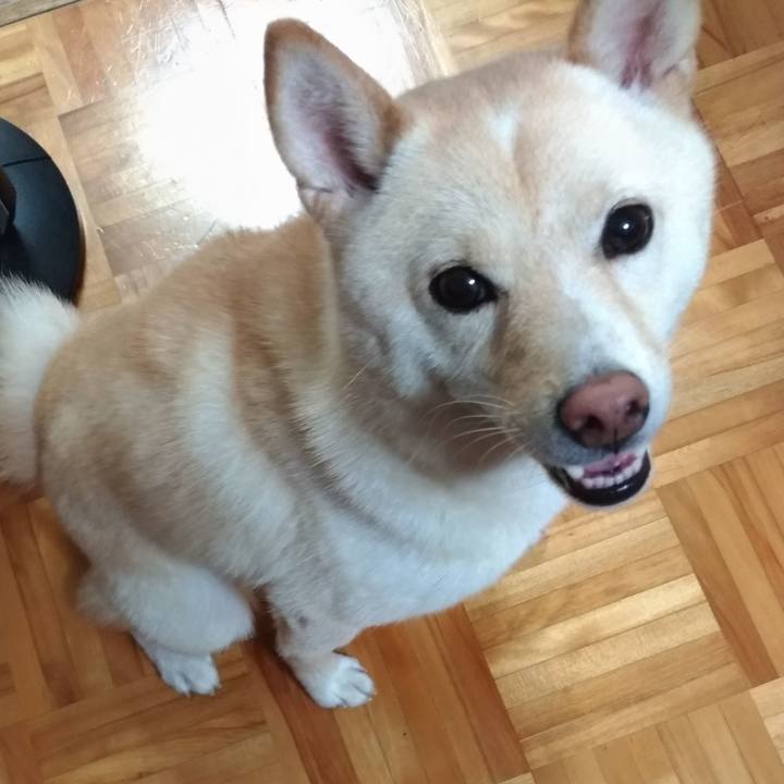 7e4ae4a3 416f 46ac a6f9 a43e5d37db35 1568670220633