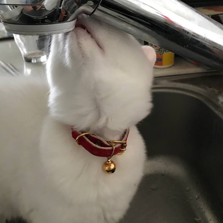 7e4ae745 005d 4674 b0e9 7a081c6ea570 1512095593403