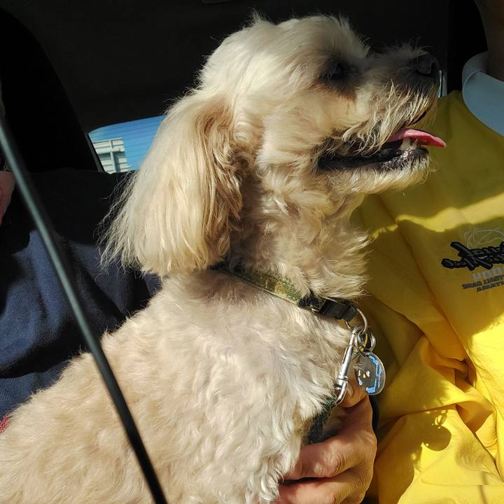 7e4b1121 2838 4faf bc69 22e331df5880 1635555897902