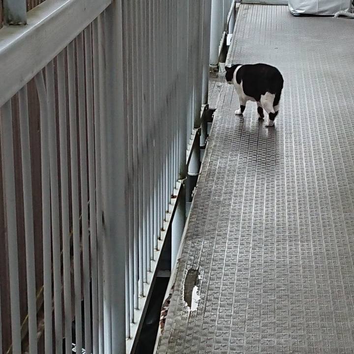 7e4b4d36 2a40 43aa a0d3 71d2135d521b 1663629434350