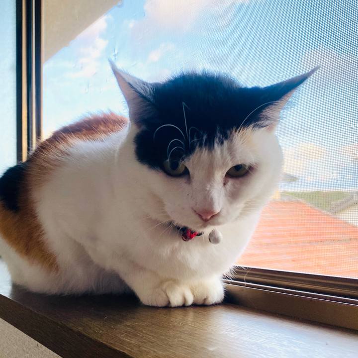 7e4b508c 96b0 4be5 9649 86d939980638 1665131044273