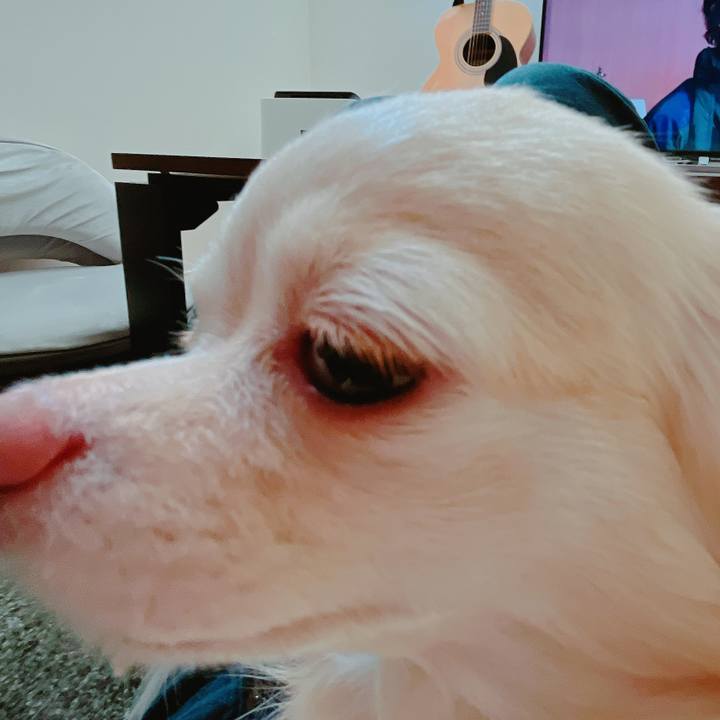 7e4b61fd 4987 4024 84bf 3b754f409c89 1650861157404