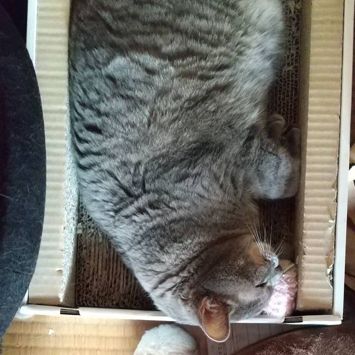 7e4b6da8 2f91 44aa b47a 959d5e03e217 1633472430331