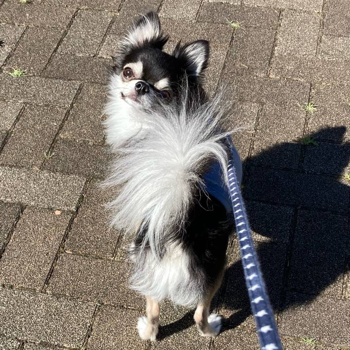 7e4ba903 aca9 4ffd 9ac6 87485731d60f 1656168586374