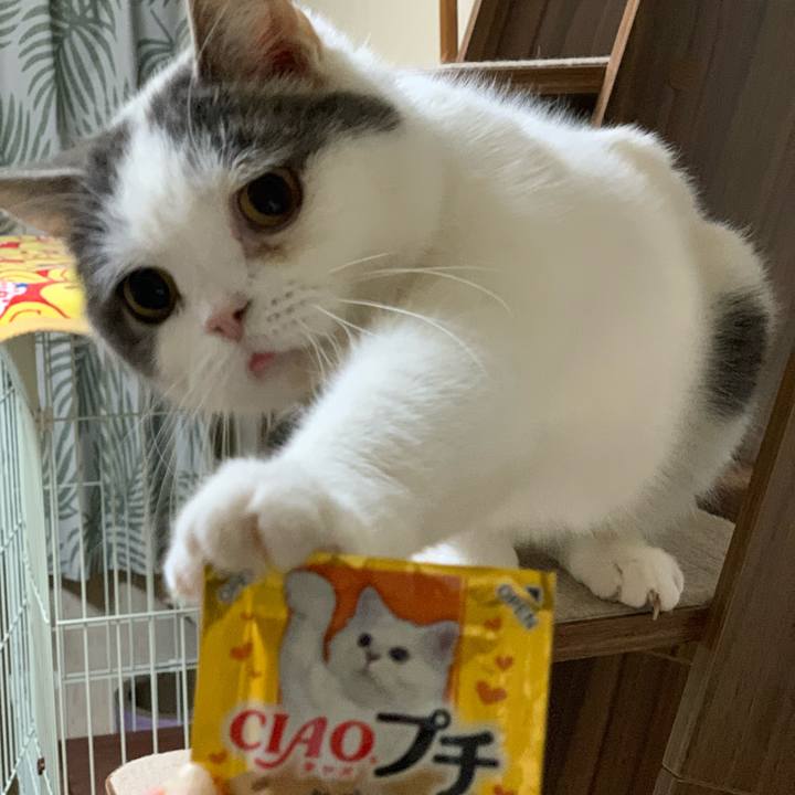 7e4bb6f9 8eb7 4ea1 9e2b 4838c08ecb1e 1648300784226