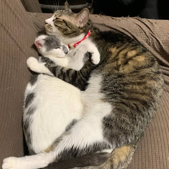 7e4bb92c 812c 4f52 a010 800e35b77666 1579788188532