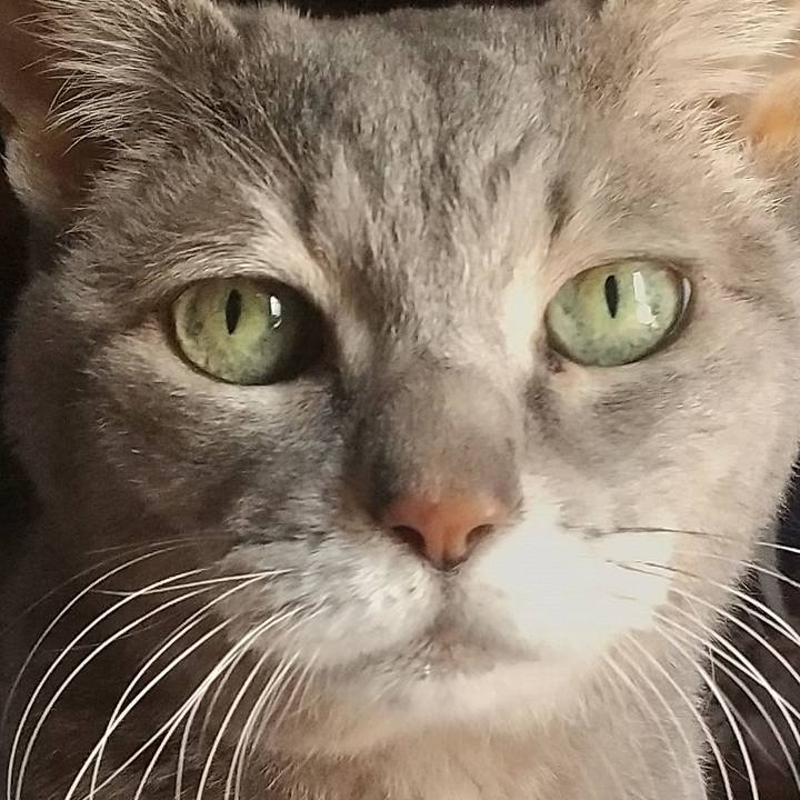 7e4bedae 3294 4fba 984c 3379ee1b1db3 1698458738417