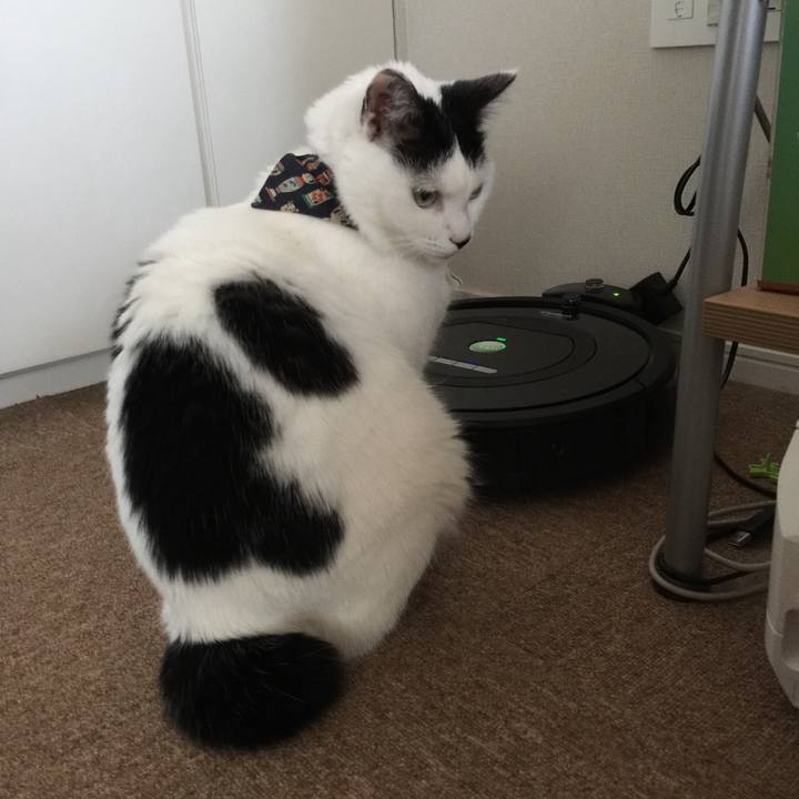 7e4c0882 3650 4e15 ac02 c2648bf2da32 1513207237701