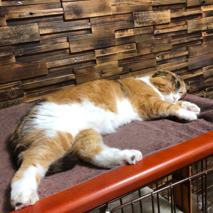 7e4c164c 5cc7 4b6b 8b23 d53d3921750a 1621001339741