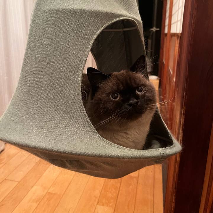 7e4c90a2 a3b1 4472 9fca 86816cb06d38 1731496168616