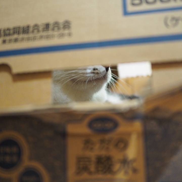 7e4cba12 ecc9 41cb 9395 ac77cfc3e02d 1536655305536