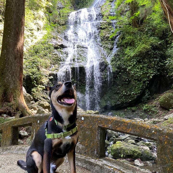 7e4cdbf5 e410 4e5d a7c1 db2f5a0373e1 1621768075448