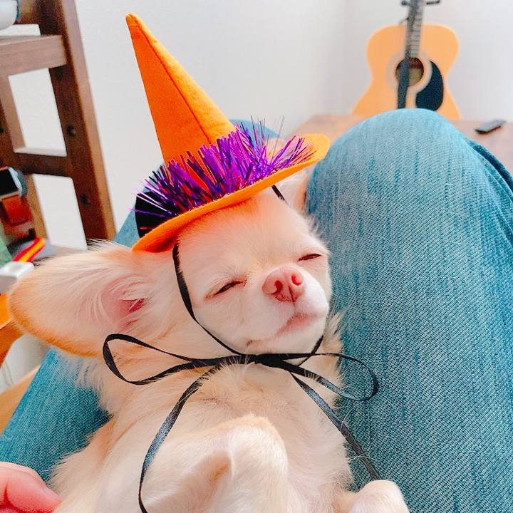 7e4cf3c9 b716 4f7e a664 4452ec8b1dbf 1634204734572