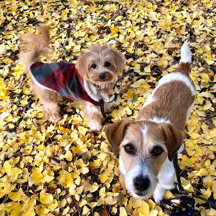 7e4d094b 5182 4704 8b45 ebcf0f321907 1575983717257