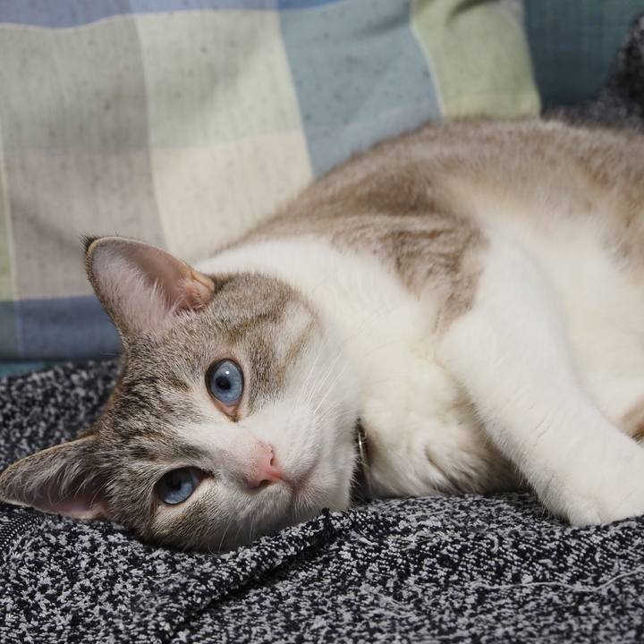 7e4d209d f466 4333 b478 1d5a1ef8bbc5 1599134219641