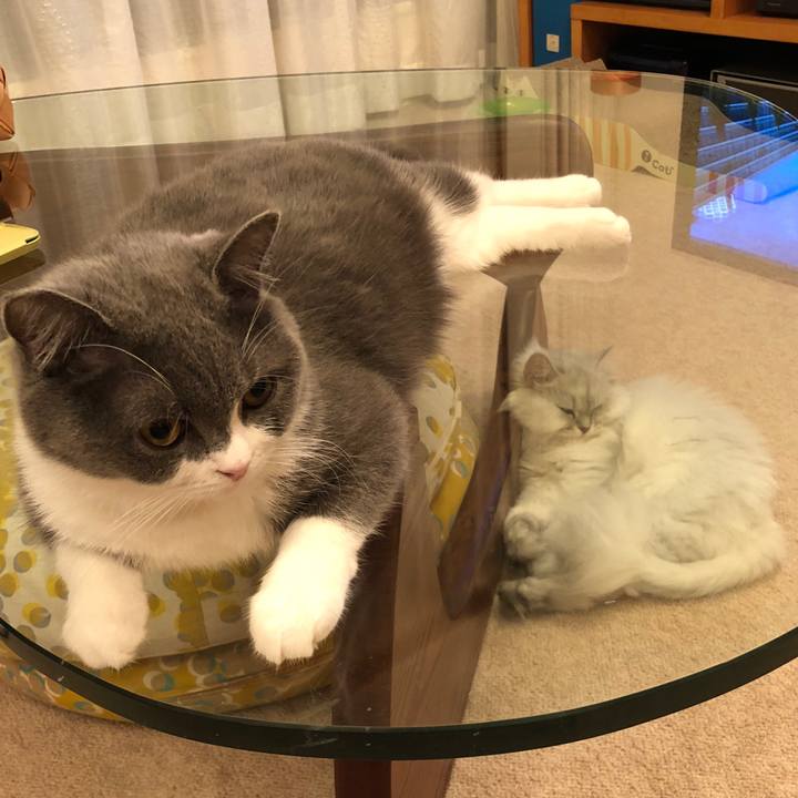 7e4d4ffa 5694 4595 8b24 105ee25025b9 1530620023476