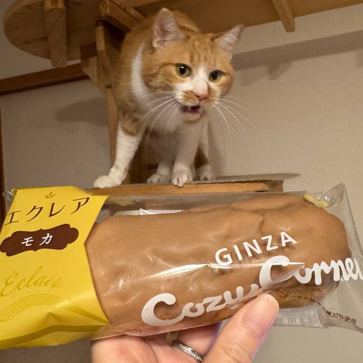 7e4d61e8 3d51 4205 aa4d bde08e6f2b0a 1767694875761