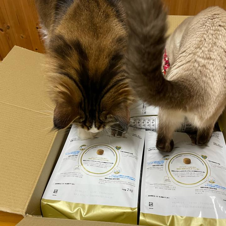 7e4d7aec aaa6 47d7 a157 8d7203e43278 1707510356535