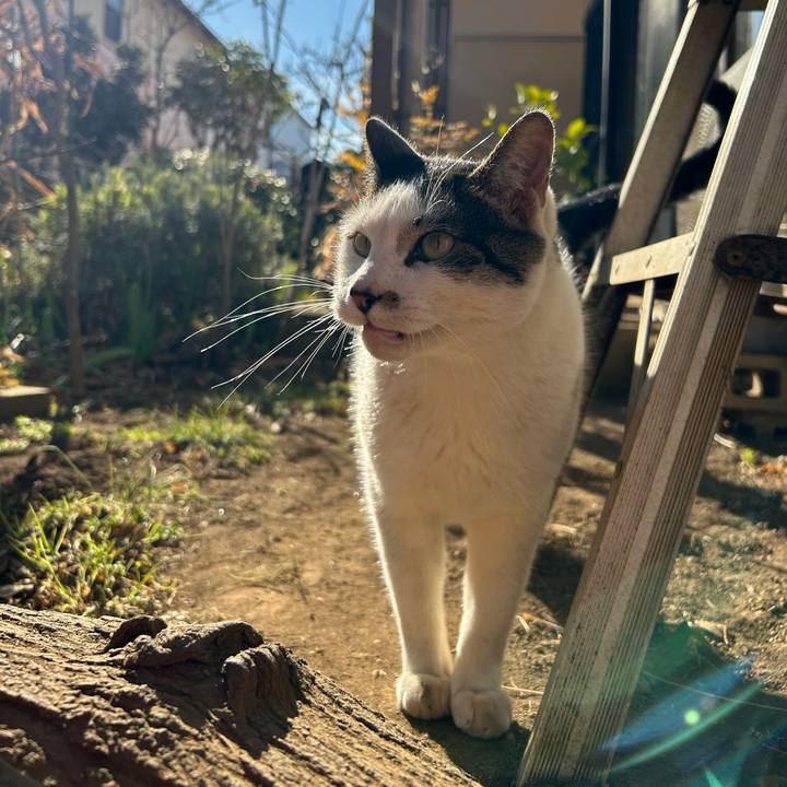 7e4dca01 7a69 4c09 9491 705cc13fe378 1706756568343