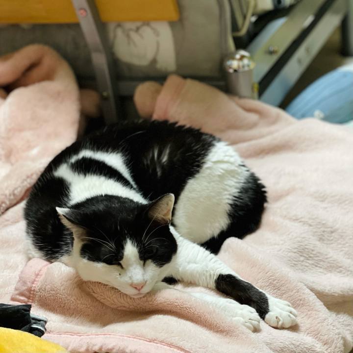 7e4de598 5384 43e2 9160 ce8f728d55ba 1619664196352