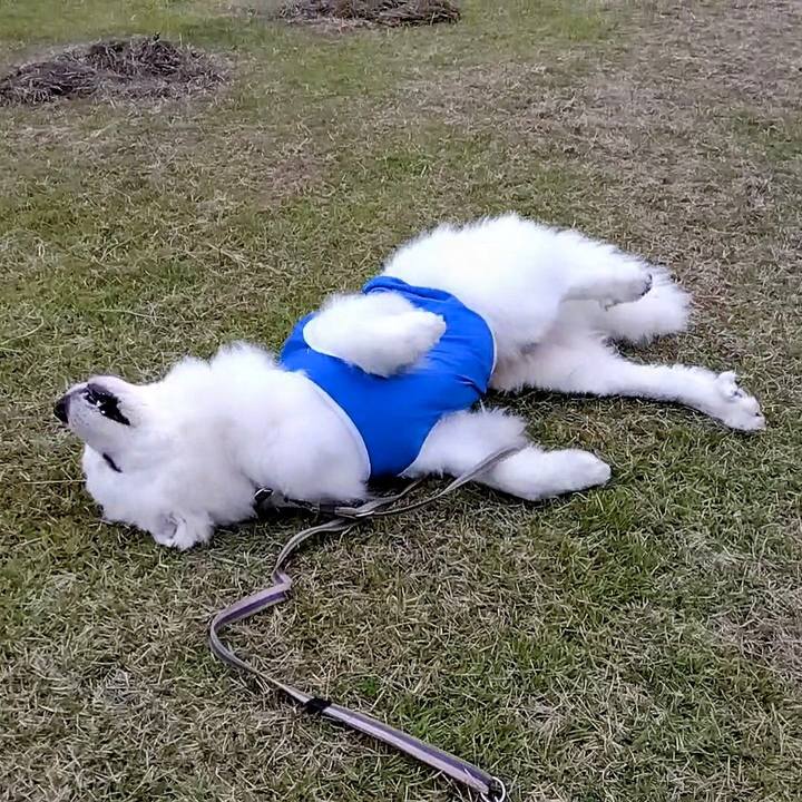 7e4de99d 95c6 4070 8e1c 56e1f7cac474 1665721071764