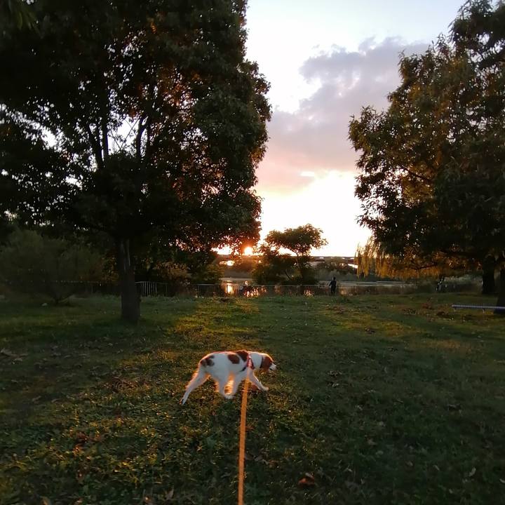 7e4dfd49 5f31 4fab 8c26 c1fbdb8b0d8f 1603193853973