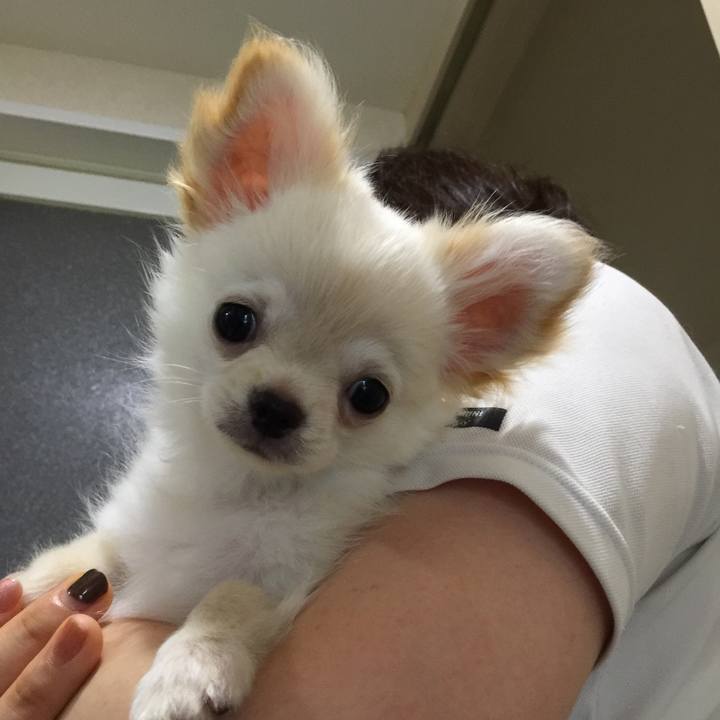 7e4e1956 999f 489e 943d beda90981650 1537538623118