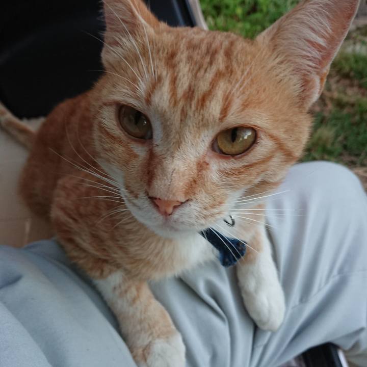 7e4e4123 c666 4504 bcdb 10f6391604bc 1561456461684