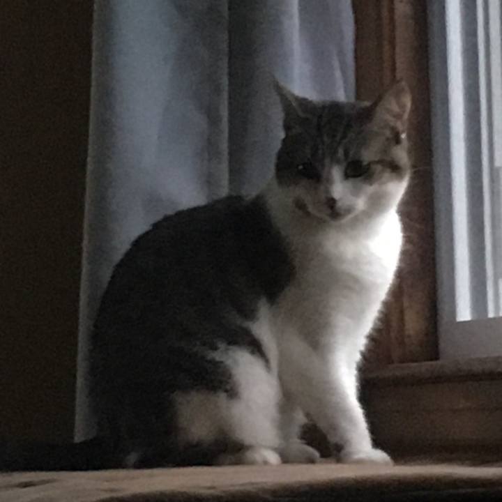 7e4e5d10 1e46 4ffd a941 7d8c4a2f675d 1633654269435