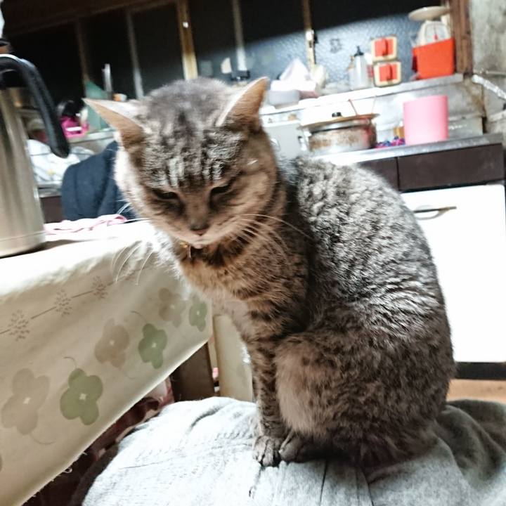 7e4e61d7 b808 4263 8583 d3f522a6afee 1577651293977