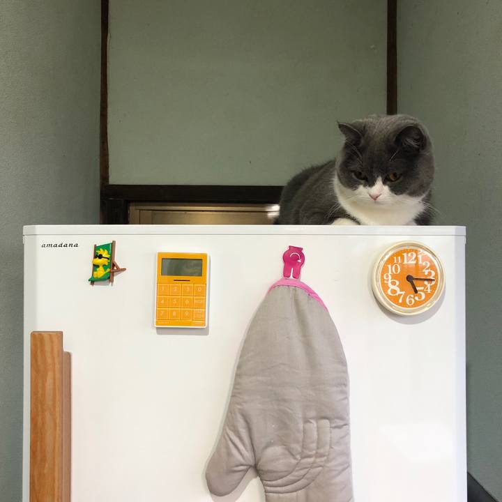 7e4e712c 9058 463f 886d fc64efe1722f 1553224379103