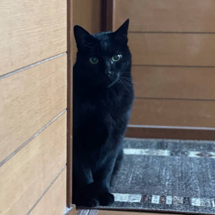 7e4e7aa7 e275 4fca b84f 24f307eb1592 1608774701007