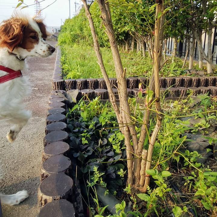 7e4ef461 6b1b 4582 8e31 cfd103c2220e 1564719145126