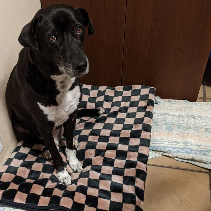 7e4f48f1 c6f9 457c 98d9 b5a0be43445f 1703465131275