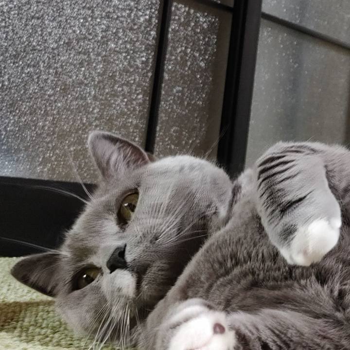 7e4f4dac 08a7 46d0 b7a9 6ee2da56181b 1676728856077