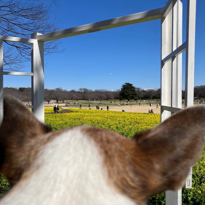 7e4f8403 dc82 4543 9f18 9ee073ed7c08 1710112385298