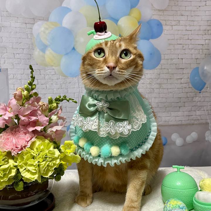 7e4f8994 85b7 4d97 ab5c f744d1f86ee3 1684924973639