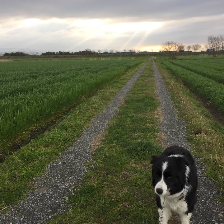 7e4fe056 cd3f 4184 a61d f2805c6bdebe 1552692103754