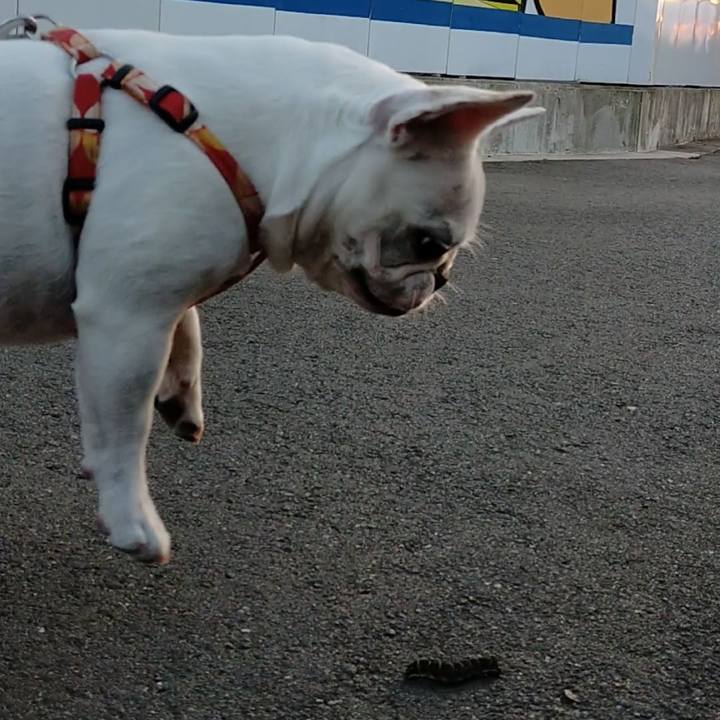 7e50112f a9a9 40cc 8c46 4df00fb34526 1662849488352